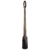 NS Design 5 String Upright Bass Satin Black Front NSD-DB-NXT5aSATBLK