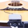 BM-1 Neo - Mandolin, Mandola & Bouzouki Pickup with Neo Jack Assembly SDBM1NEO